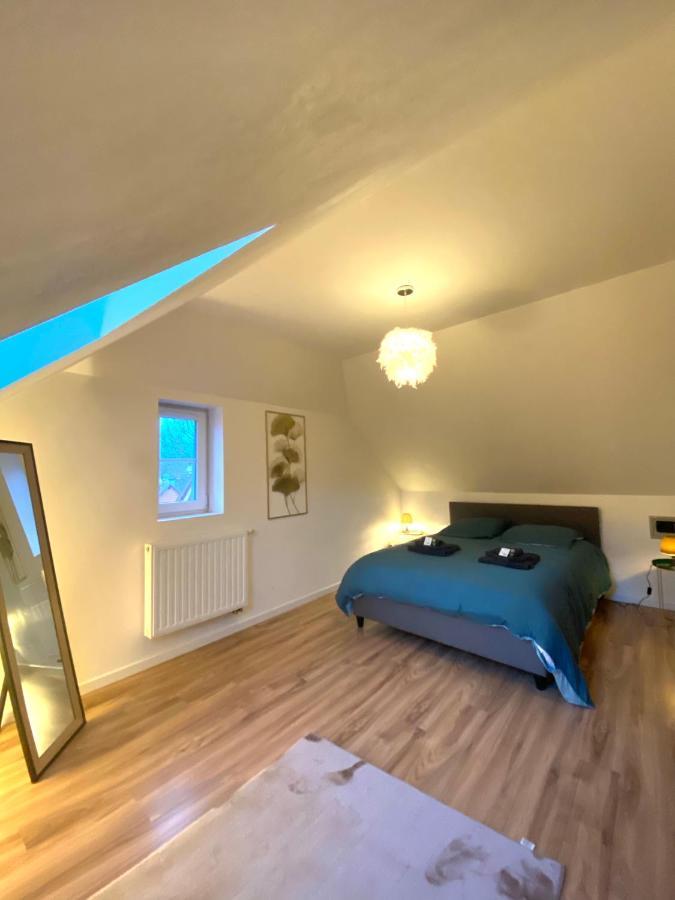 דירות וינצנהיים Duplex Moderne A 10 Minutes De Colmar מראה חיצוני תמונה
